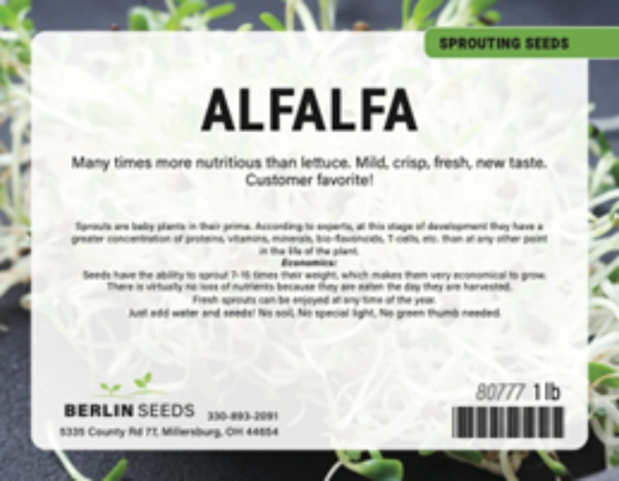 Berlin Seeds Alfalfa Sprouting Seeds