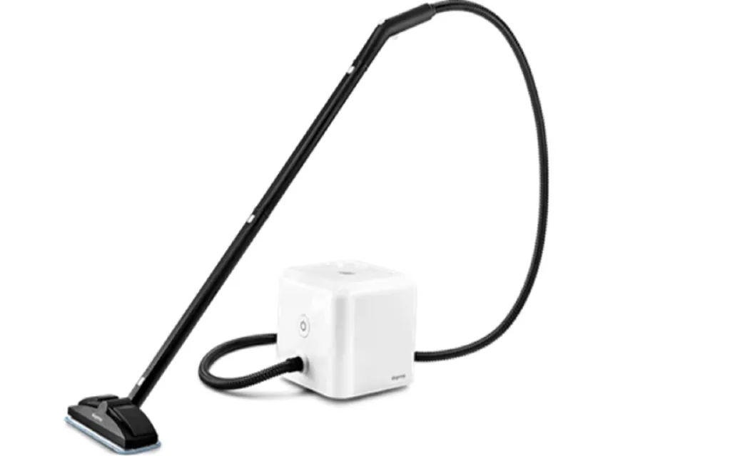 Dupray Neat Steam Cleaner