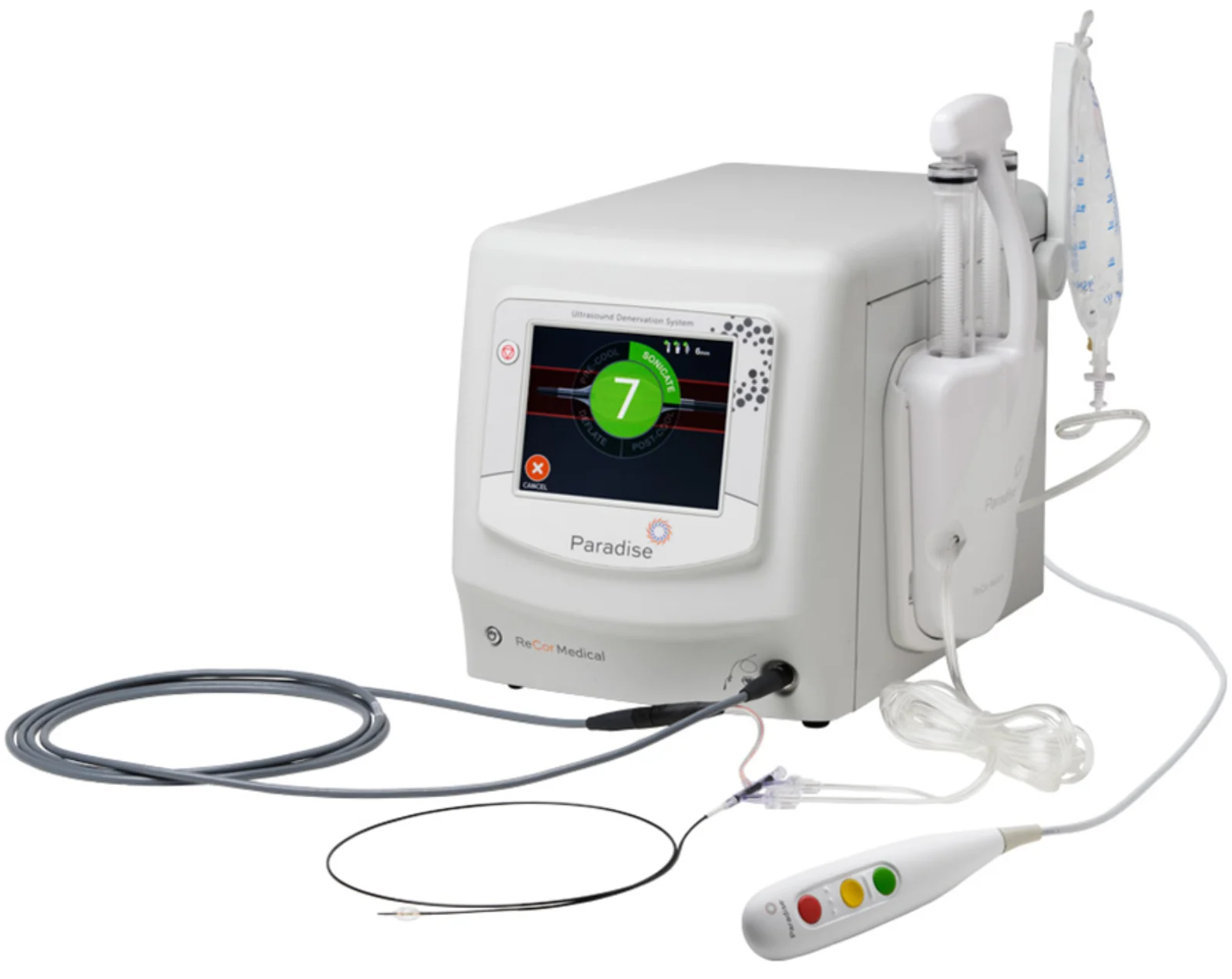 Paradise Ultrasound Renal Denervation Catheter