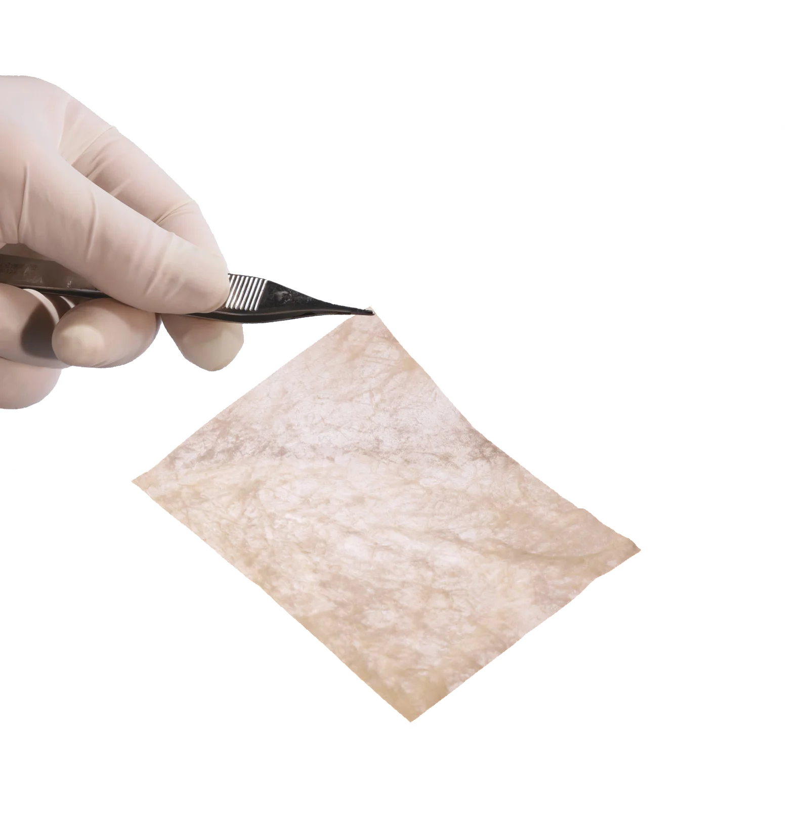 Cytal Wound Matrix 2-Layer