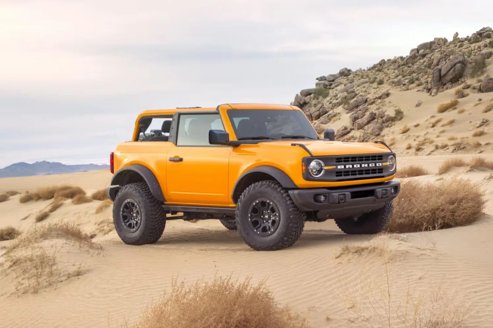 Ford Bronco Molded-In-Color Hardtop Roof Panels