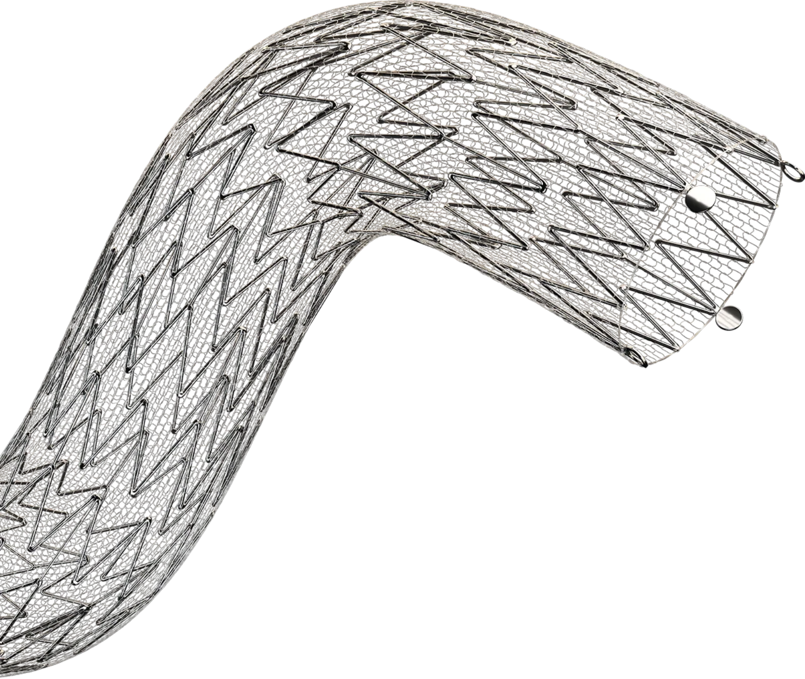 CGuard Prime Carotid Stent System