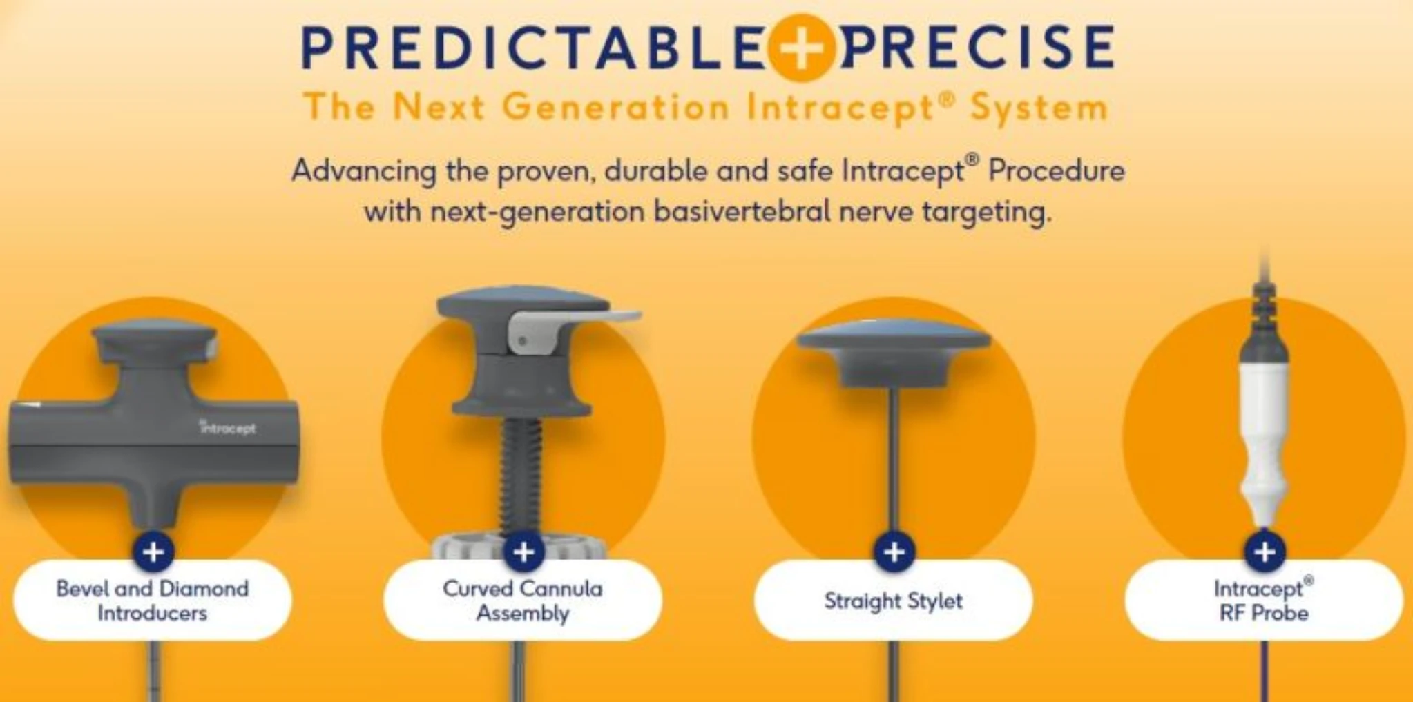 Intracept Access Instruments
