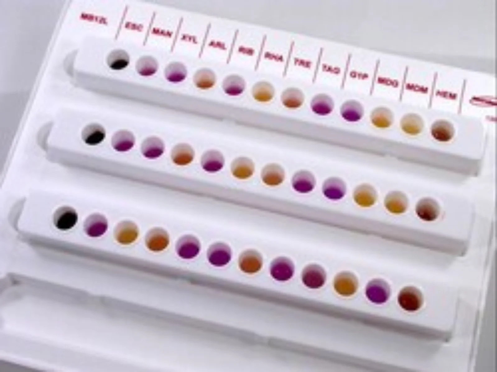 OXOID Microbact 12L Listeria Identification Kit
