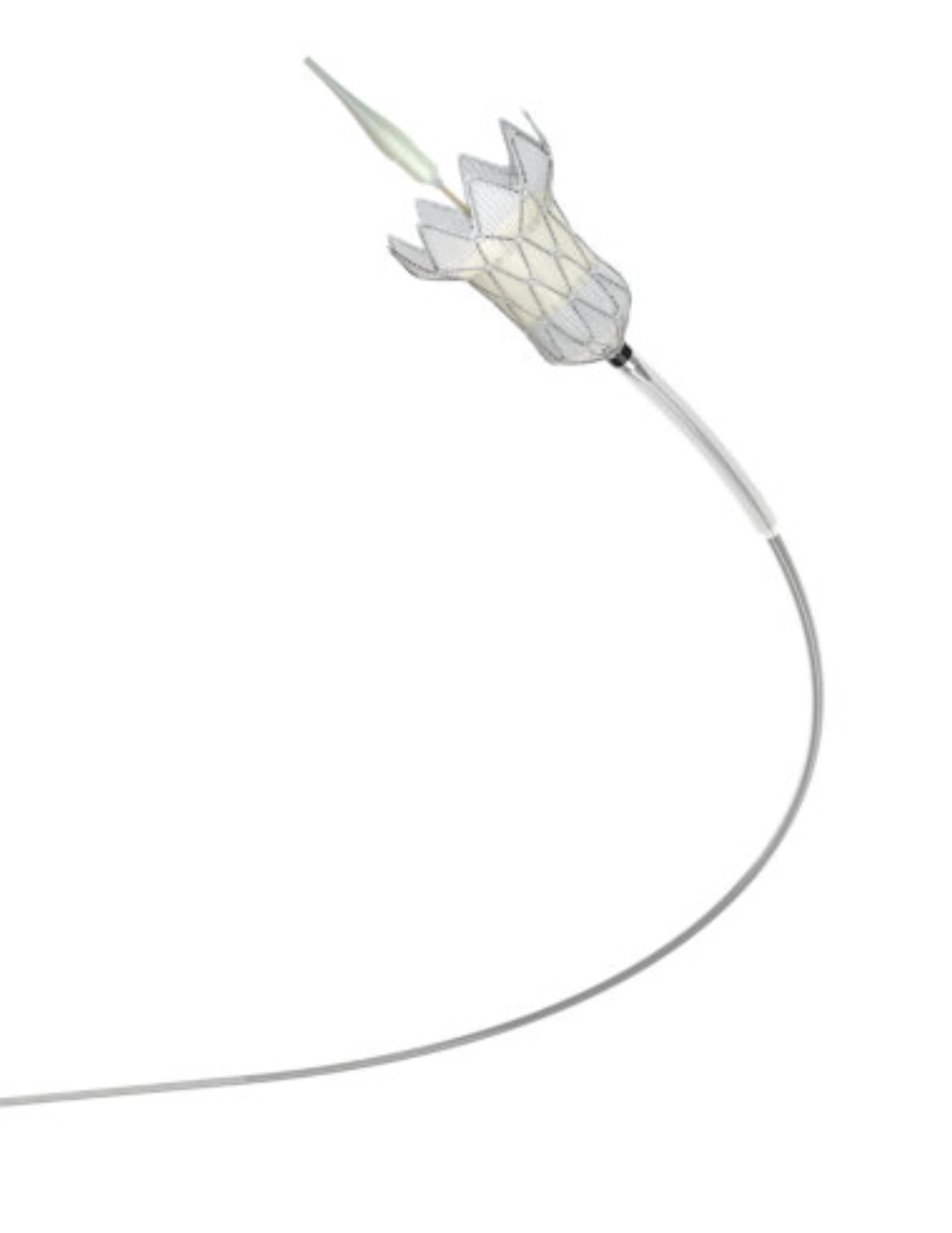 Medtronic Harmony Delivery Catheter System