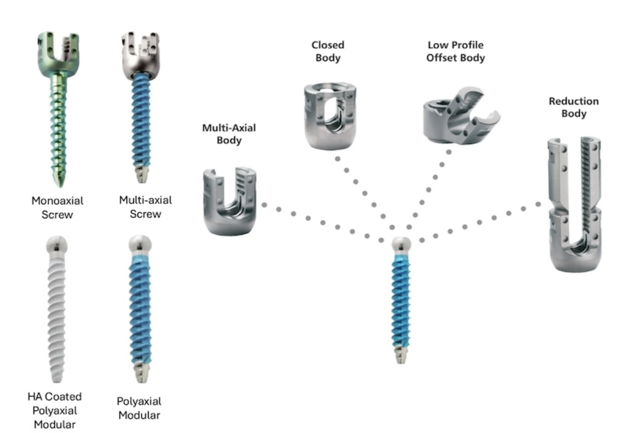 SeaSpine Polyaxial Head