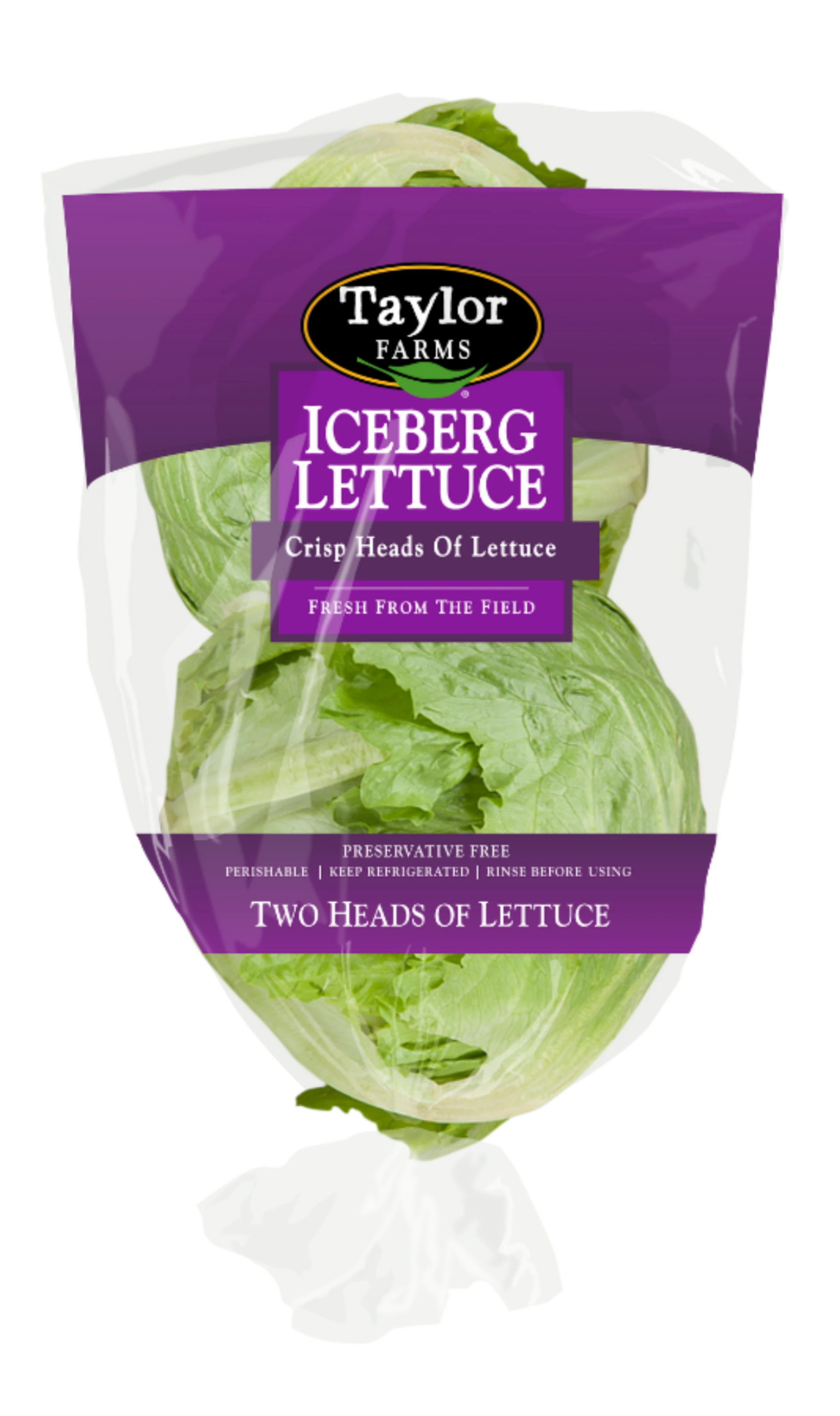 Taylor Fresh Foods Iceberg Lettuce