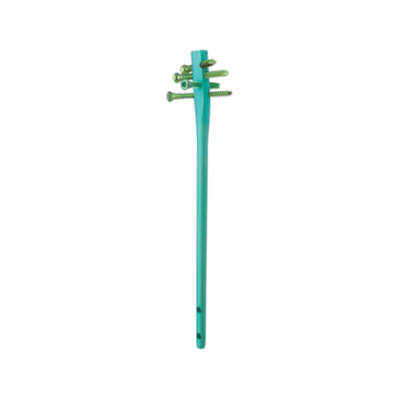 Trigen Proximal Straight Humeral Nail