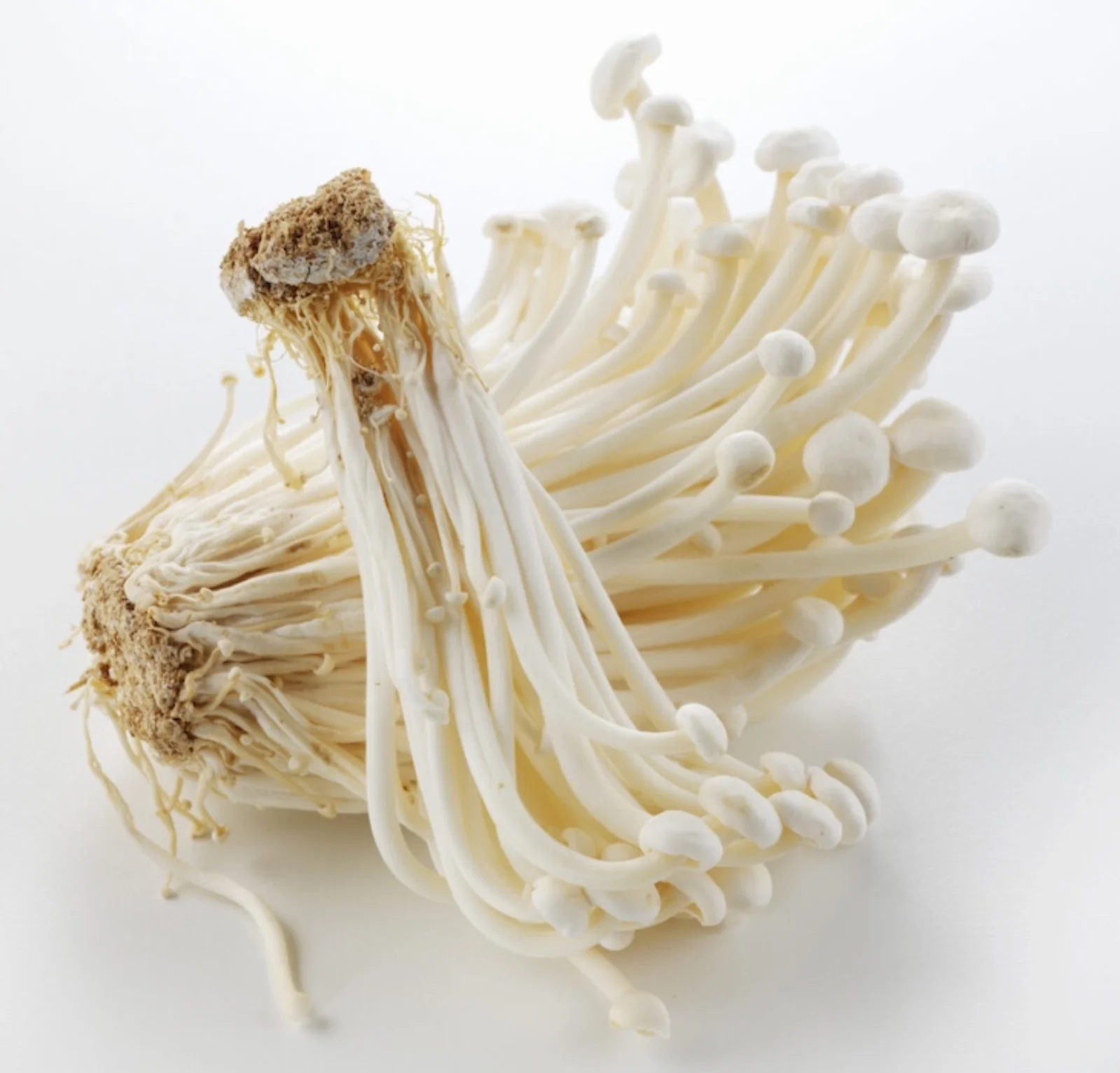 Enoki Mushrooms