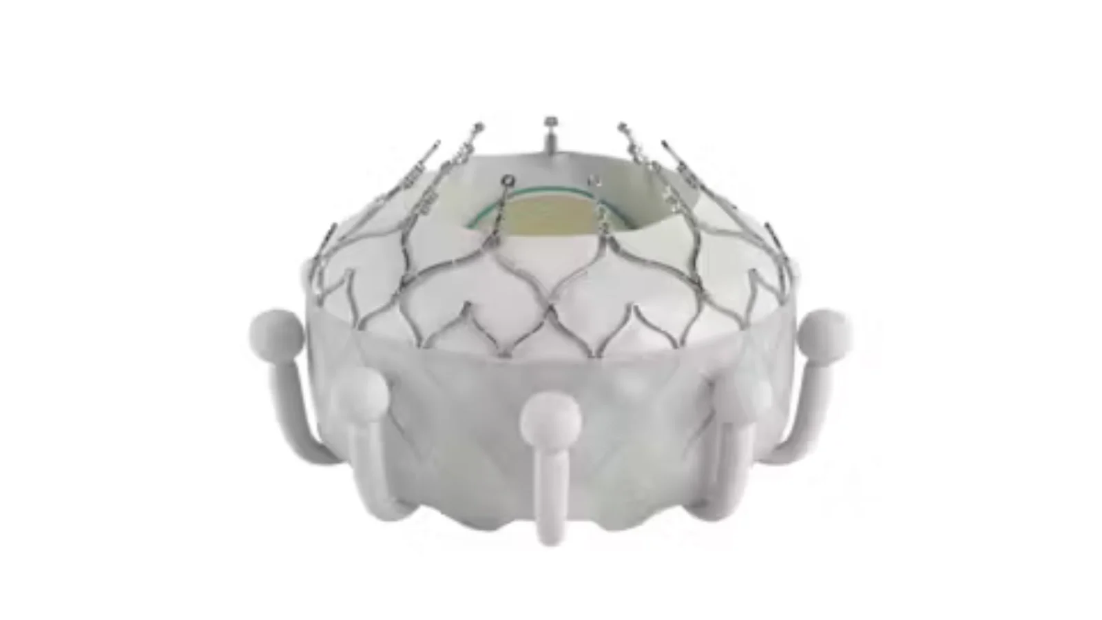Edwards EVOQUE Tricuspid Delivery System