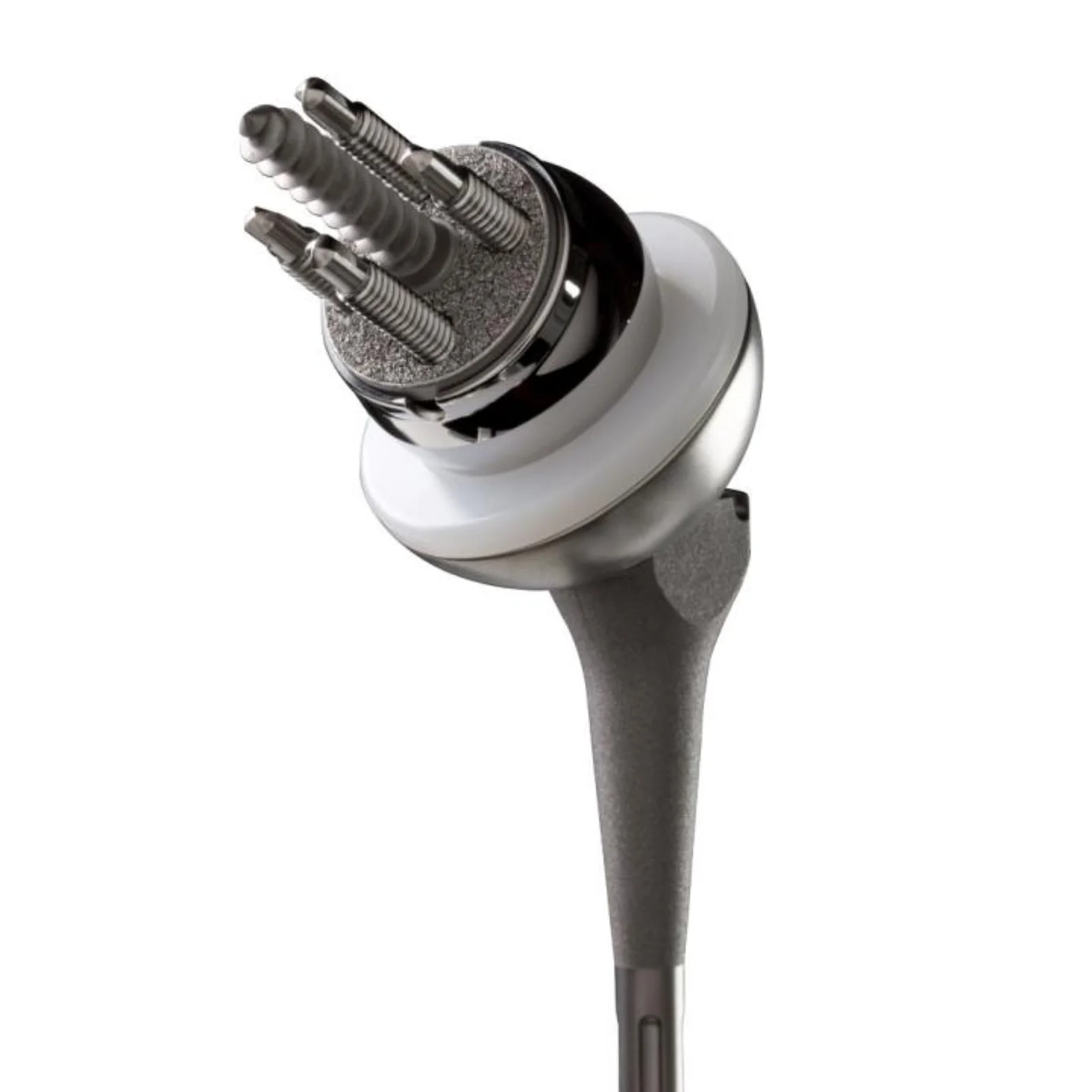 Reverse Shoulder Prosthesis Humeral Socket Insert
