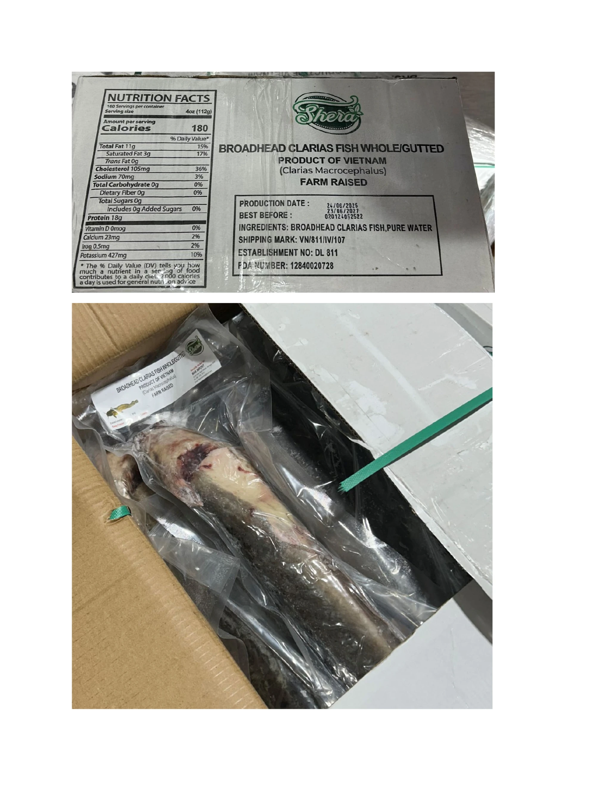 Shera Broadhead Clarias Fish Products